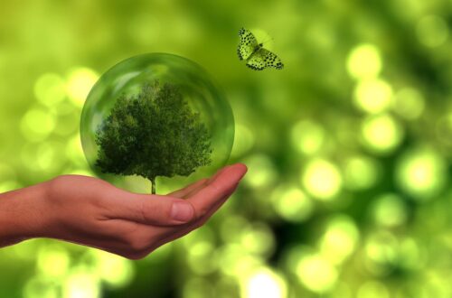 Eco-Friendly Vacation