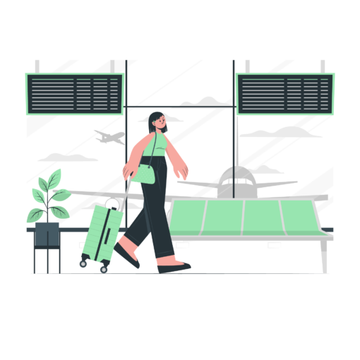 Airport-Christmas airfares