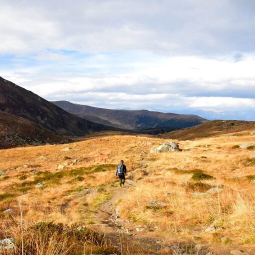 Healthy While Traveling